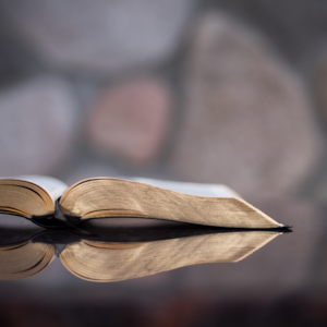 Glória a Vós, Cristo | Nem só de pão (I)