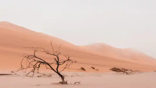 Caminho pelo deserto